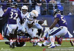 nfl季后赛名额规则（nfl季后赛扩军至14支）