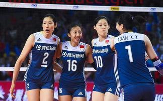 中国女排队员刘彦浛（中国女排刘晏晗）